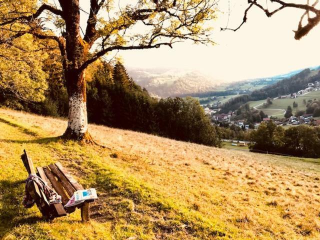Ღlieblingsraum Fewo Stellplatz Babybett Disneytvღ Oberstaufen Exteriör bild